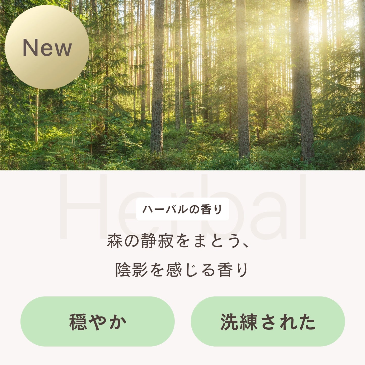 フレグランスディフューザー ハーバル