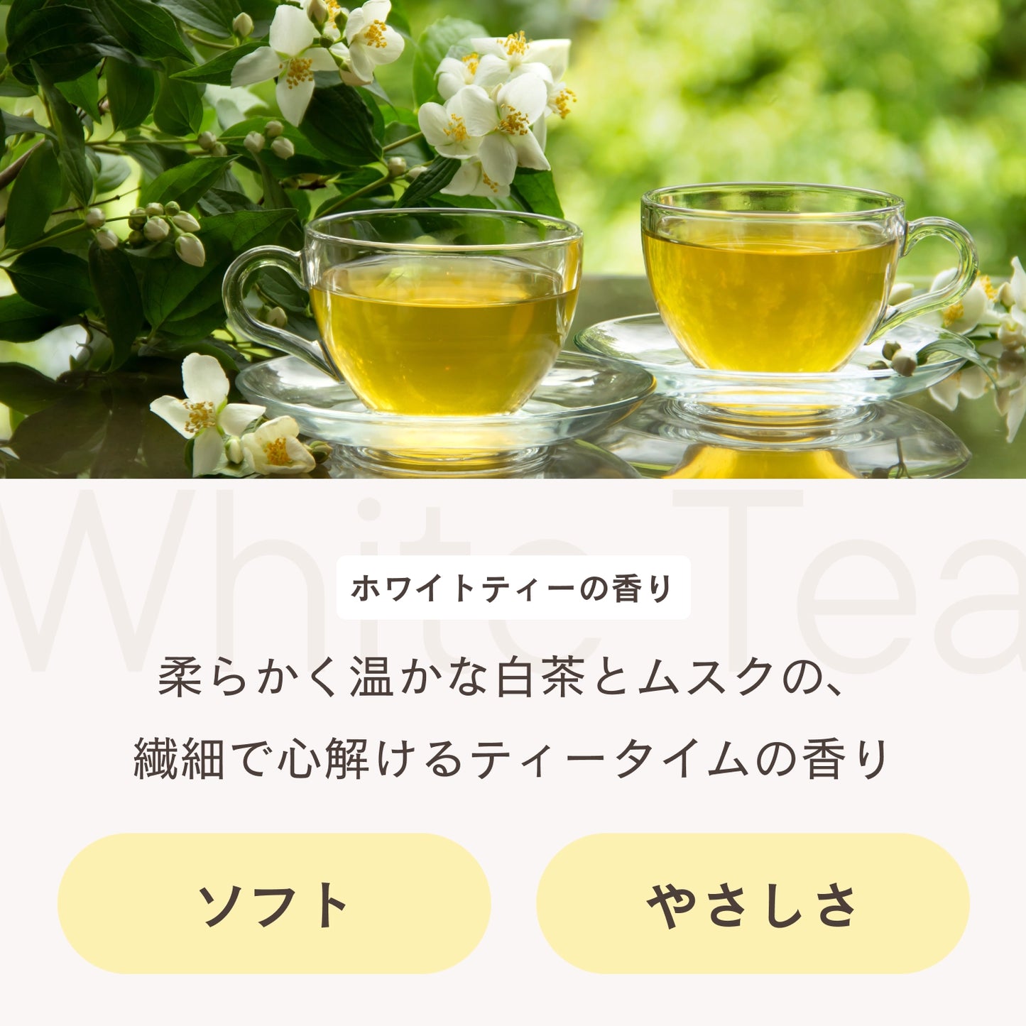 フレグランスディフューザー ホワイトティー