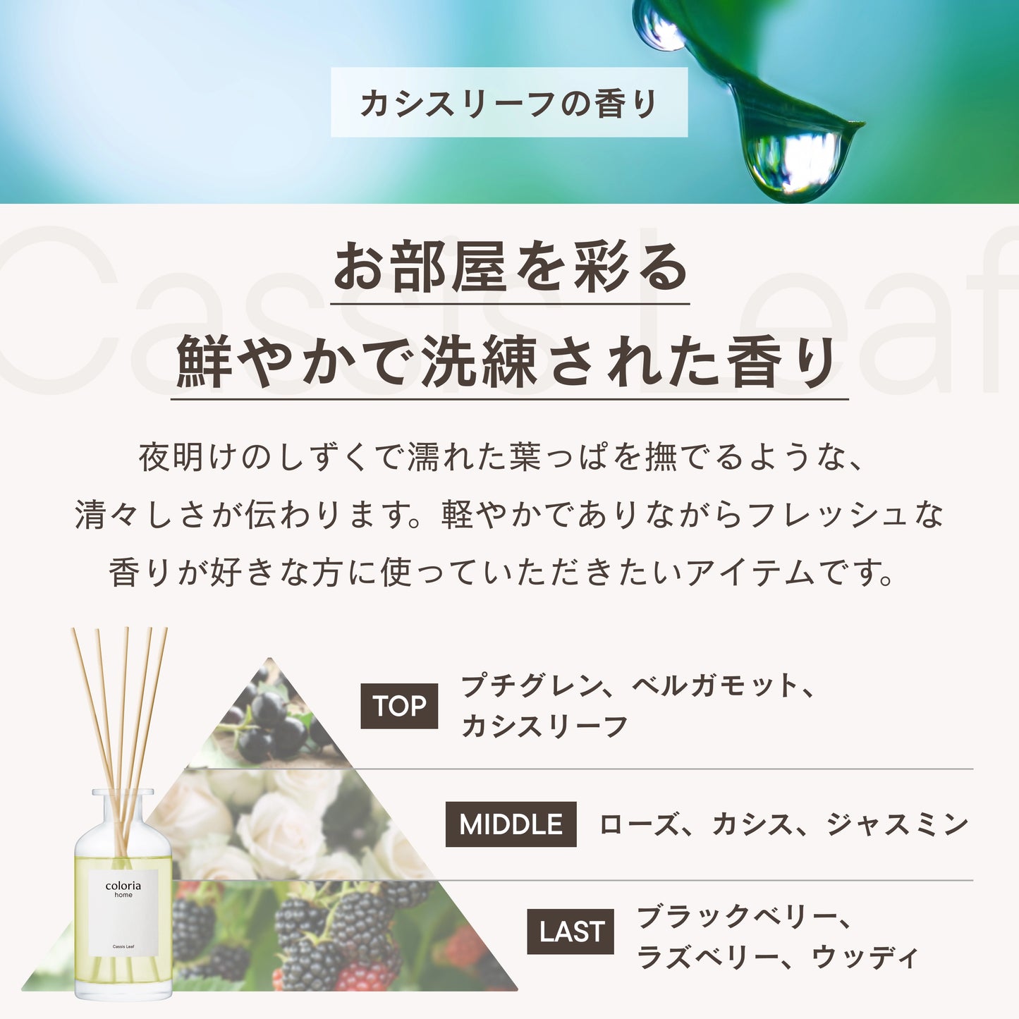 フレグランスディフューザー カシスリーフ