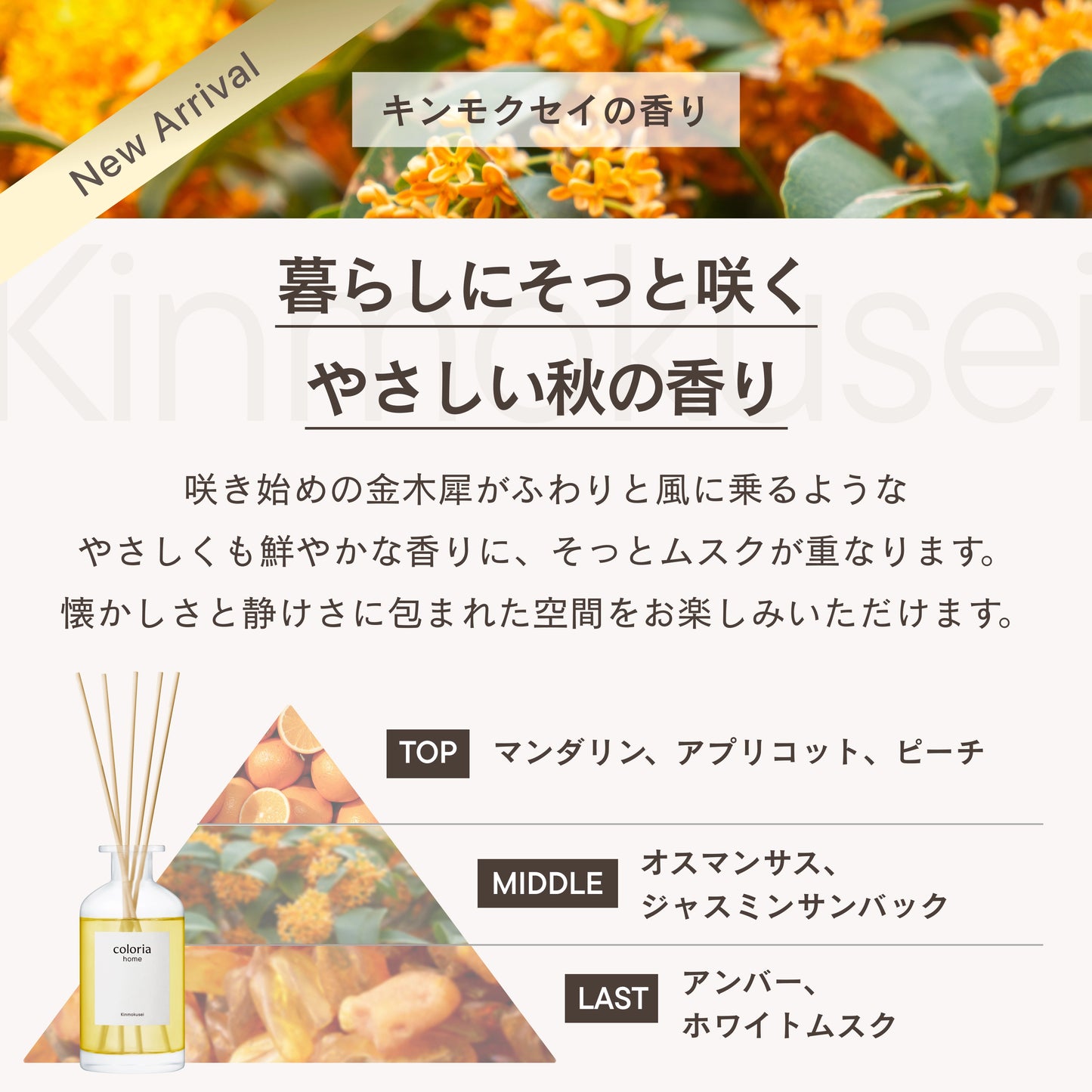 フレグランスディフューザー キンモクセイ