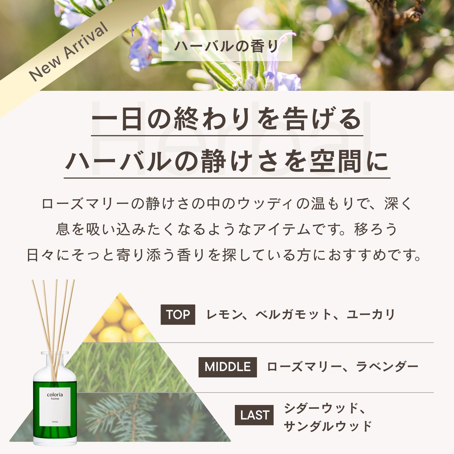 フレグランスディフューザー ハーバル