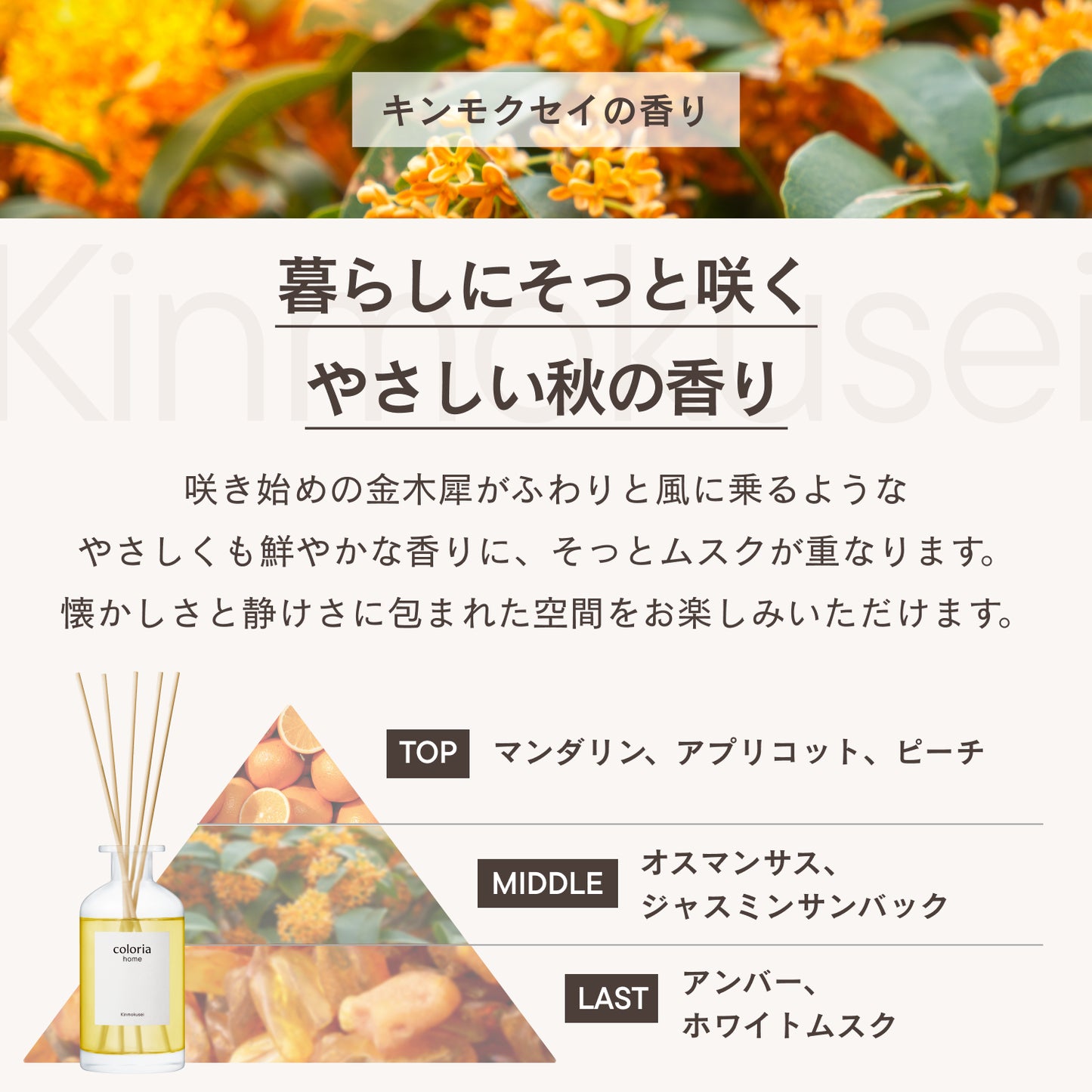 フレグランスディフューザー キンモクセイ