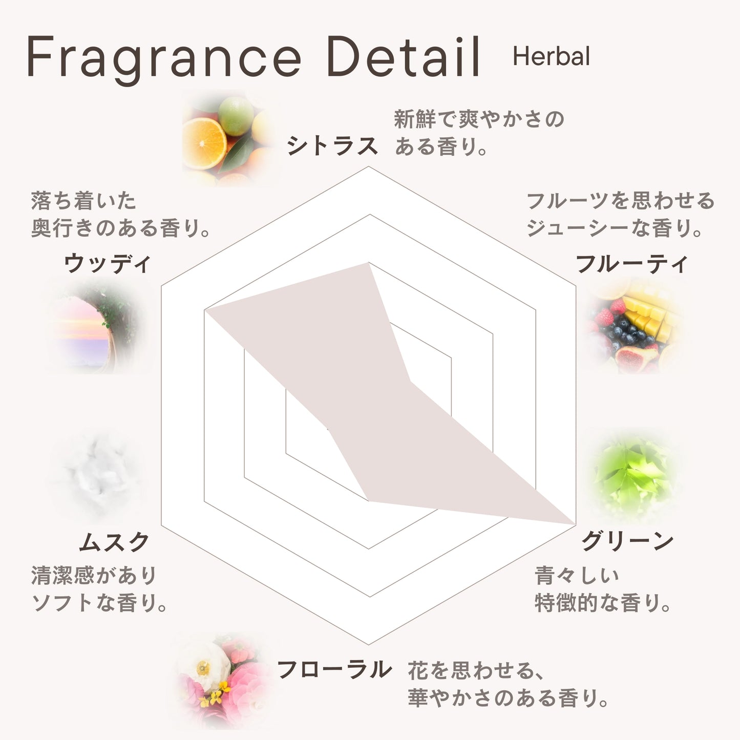 フレグランスディフューザー ハーバル
