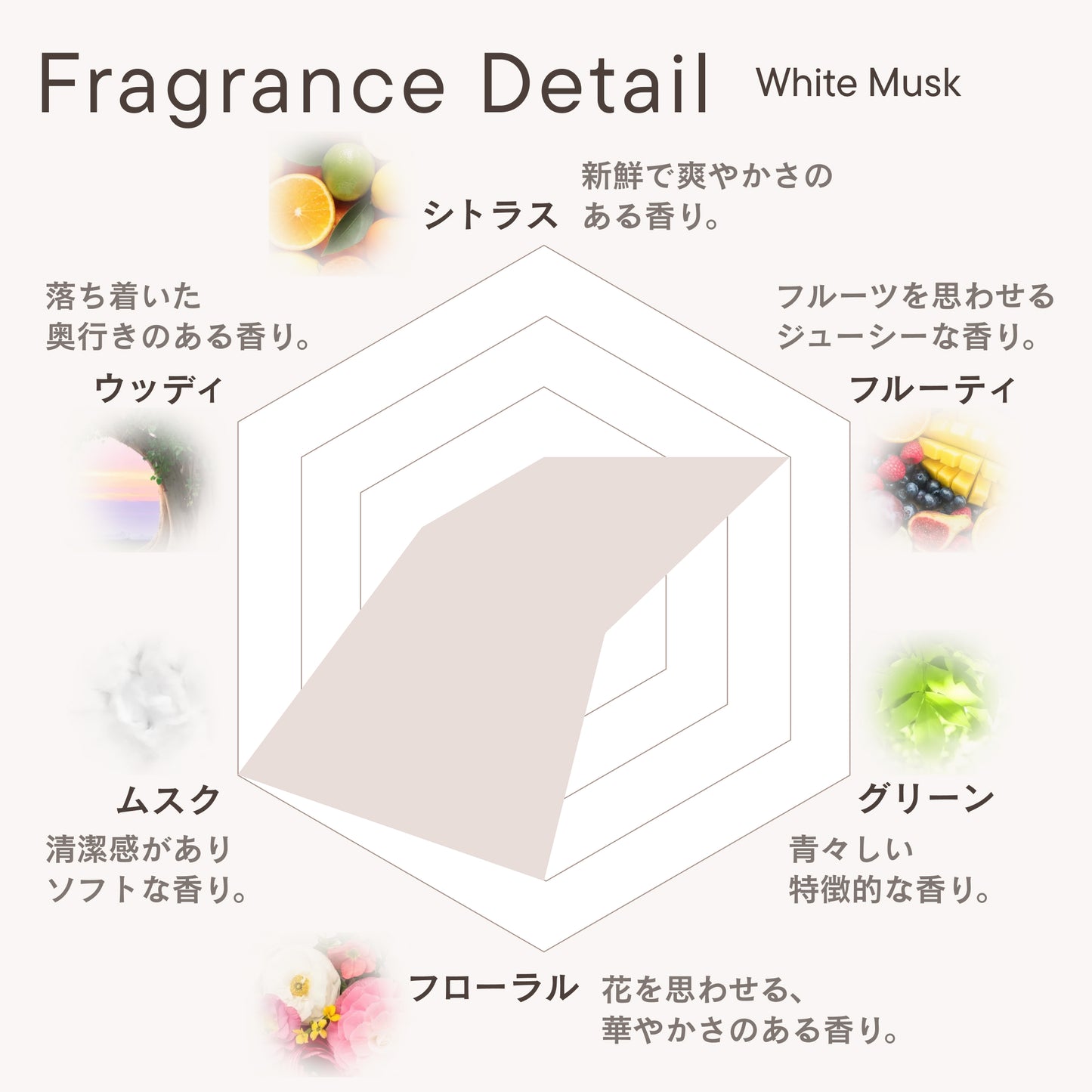 フレグランスディフューザー ホワイトムスク