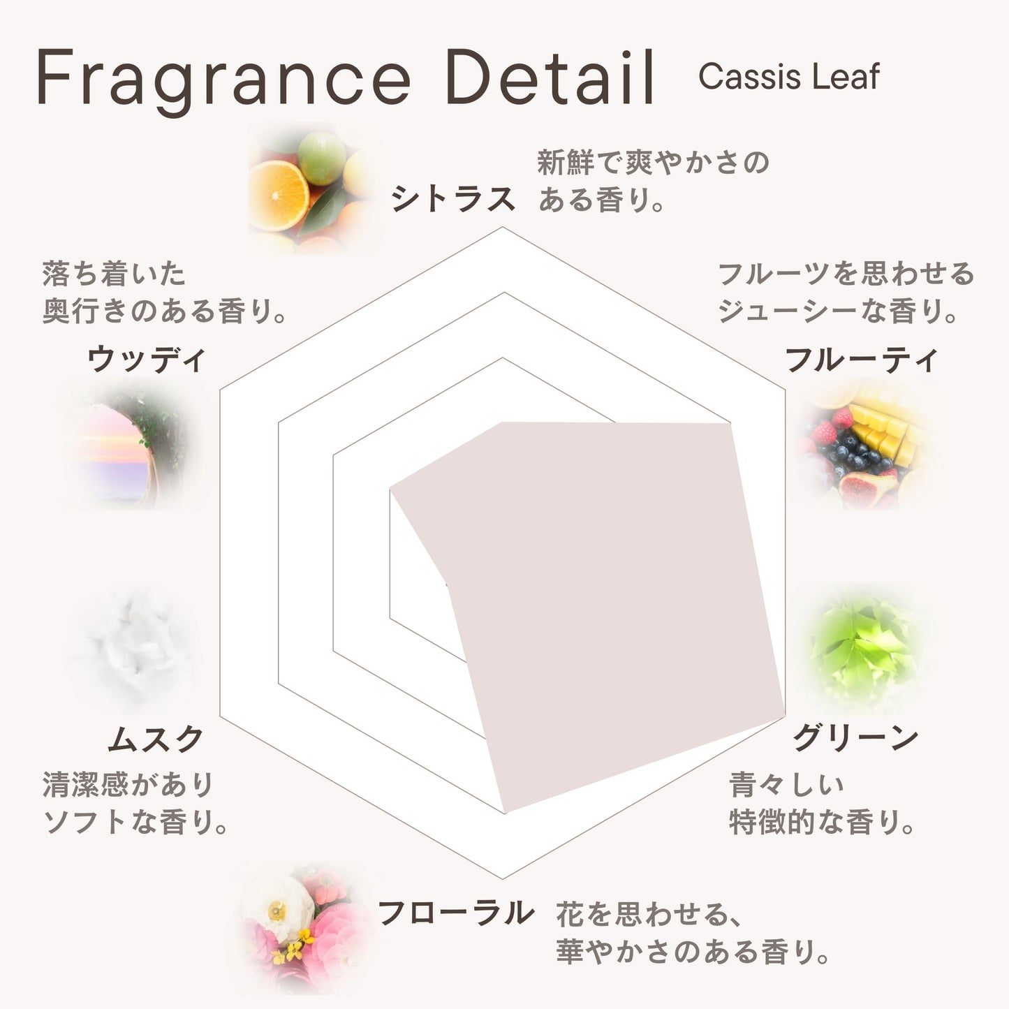 フレグランスディフューザー カシスリーフ