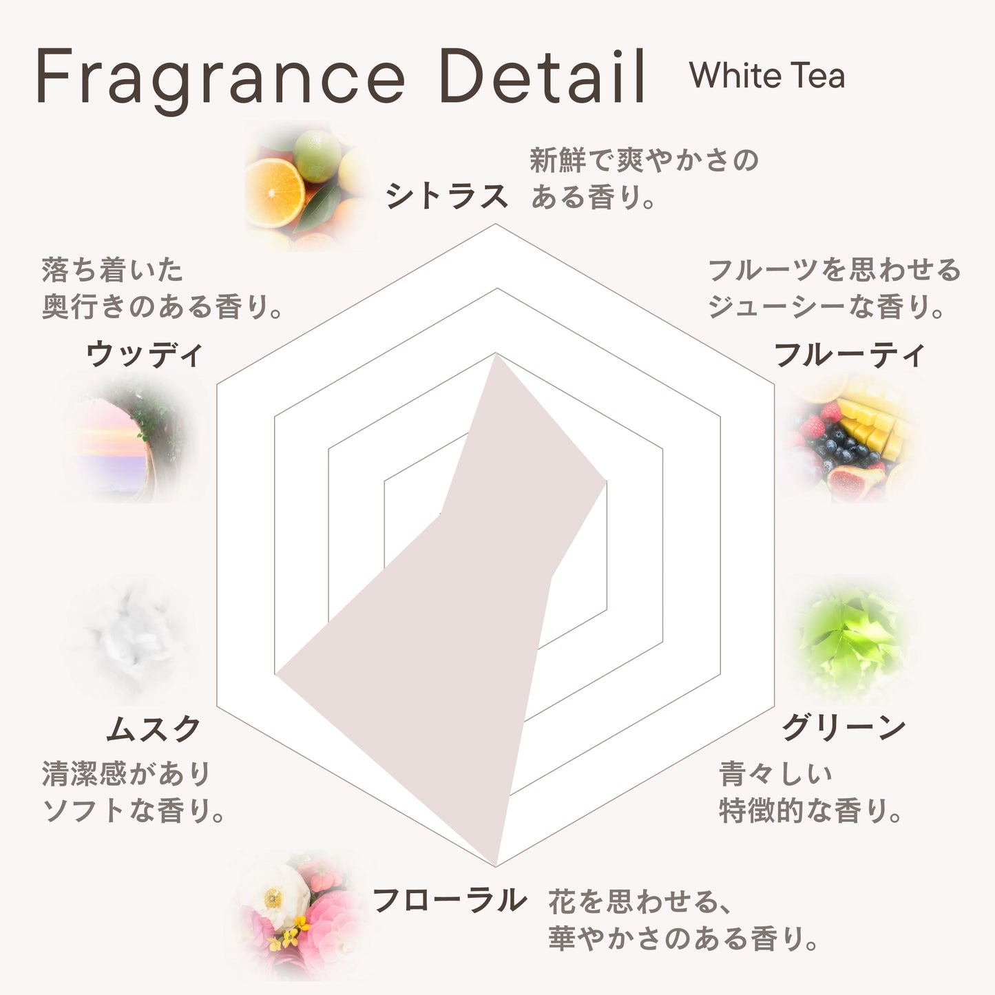 フレグランスディフューザー ホワイトティー