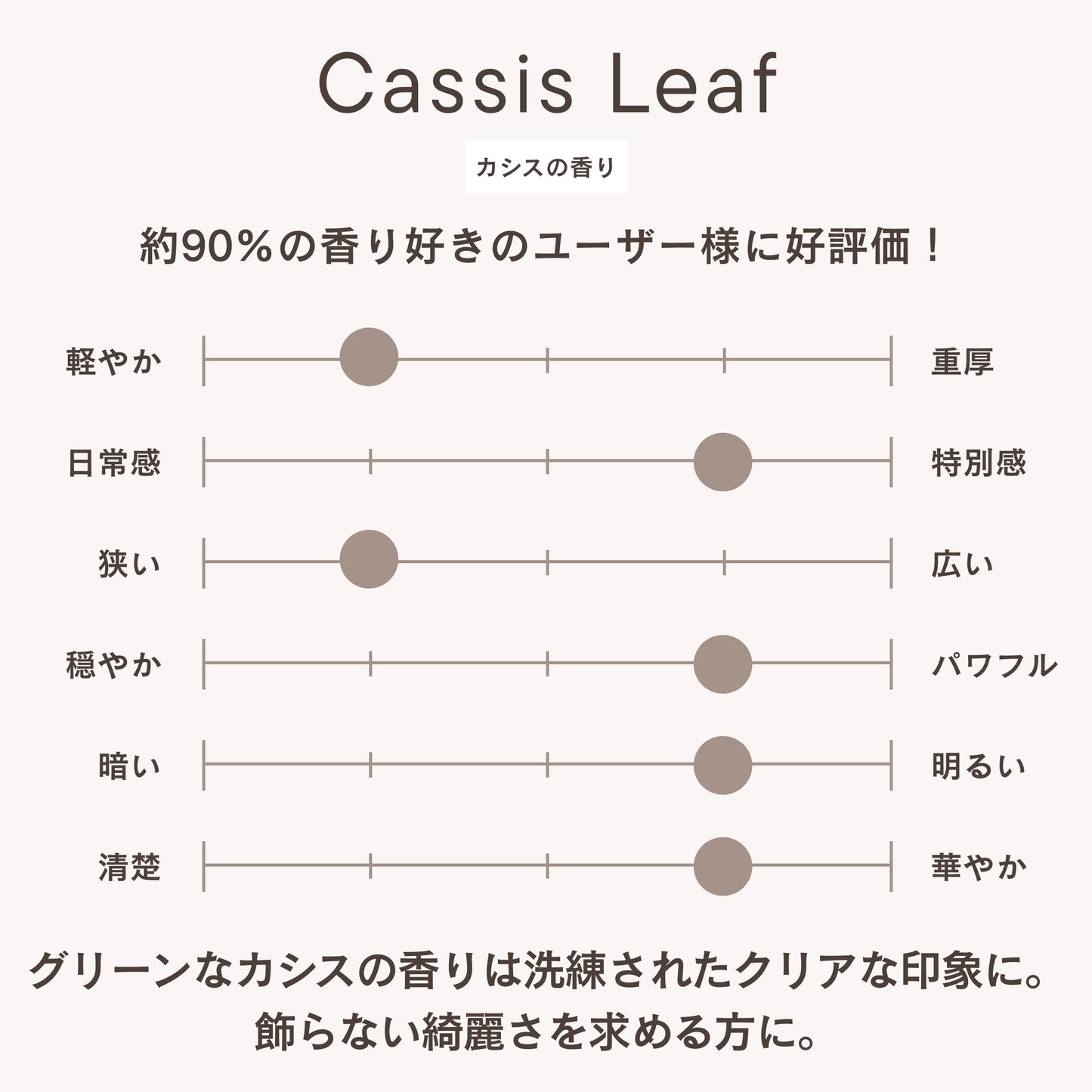 フレグランスディフューザー カシスリーフ