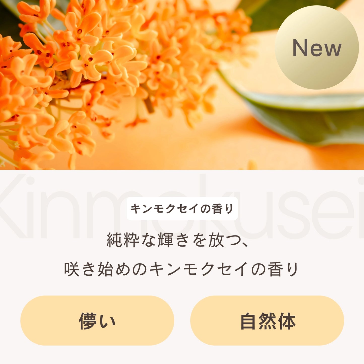 フレグランスディフューザー キンモクセイ