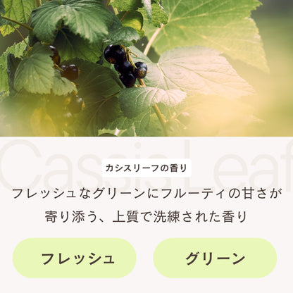 フレグランスディフューザー カシスリーフ