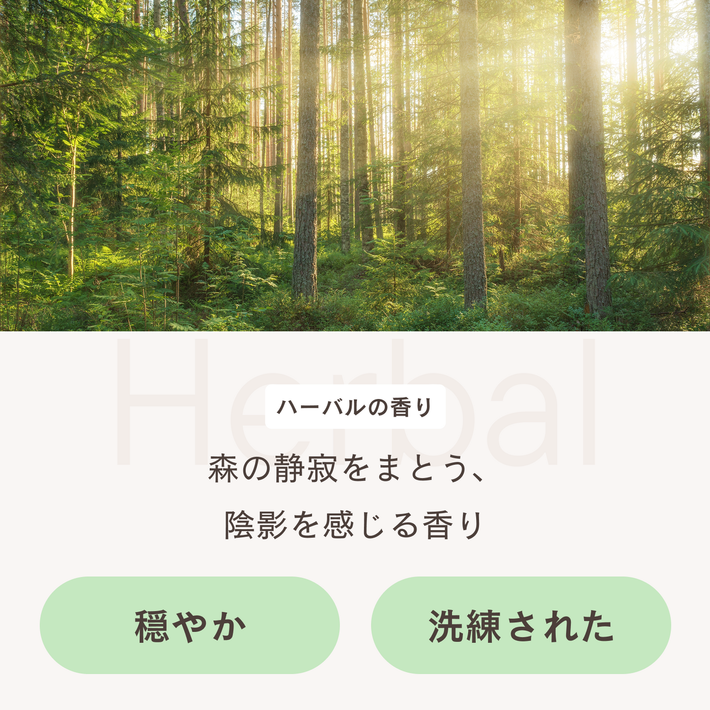 フレグランスディフューザー ハーバル