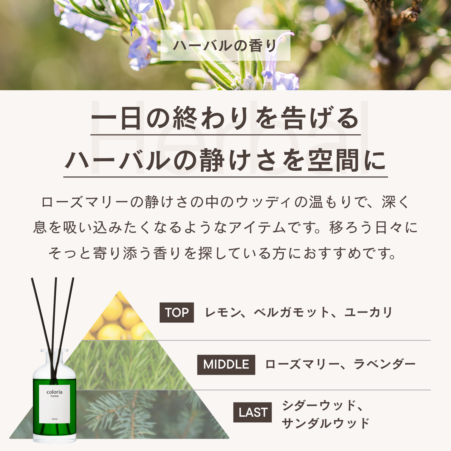 フレグランスディフューザー ハーバル