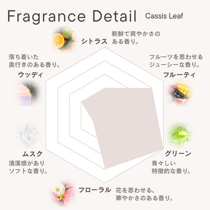 フレグランスディフューザー カシスリーフ