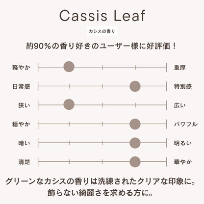 フレグランスディフューザー カシスリーフ